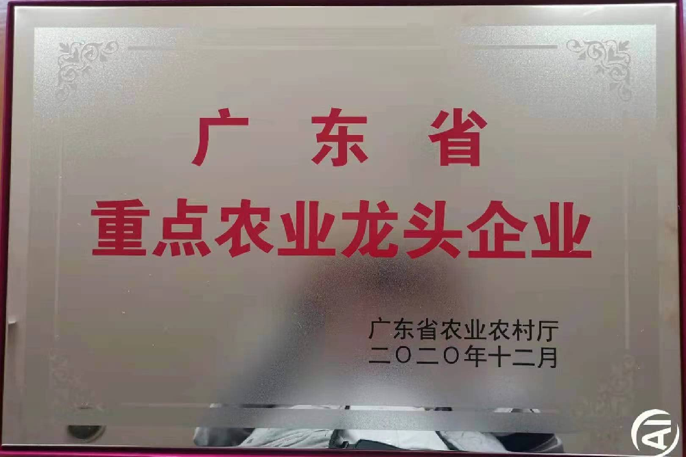 更上一層樓！追求無止境